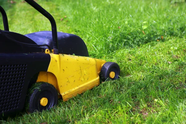 Mowing Lawn — Stock Photo, Image