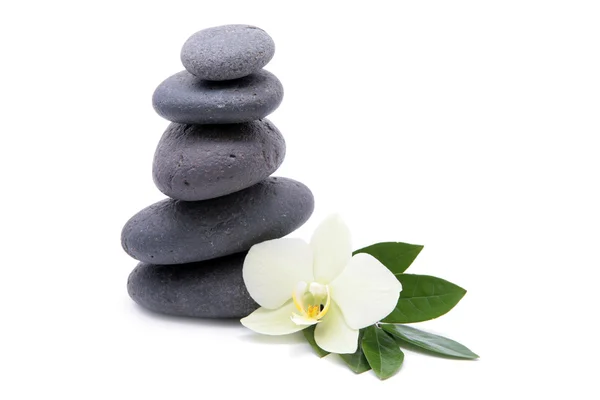 Zen πέτρες με ορχιδέες λουλούδι απομονωμένη. σπα φόντο Εικόνα Αρχείου