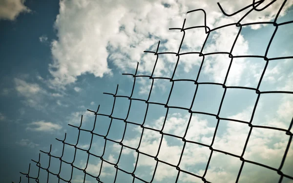 stock image Wire and the sky