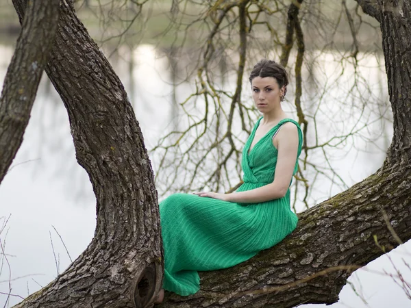 Woman in the tree — Stock Photo, Image