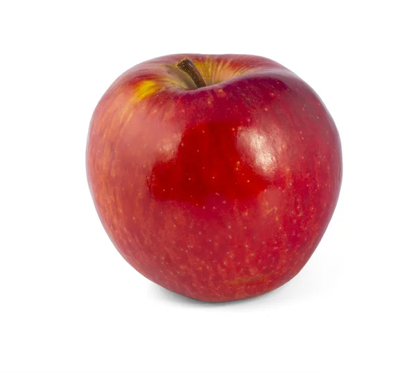 stock image Red apple.