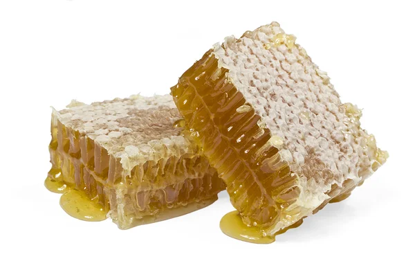 Honey comb Royalty Free Stock Images
