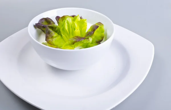Салат с йогуртовым соусом — стоковое фото