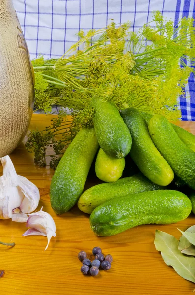 Polish garlic cucumbers (ingredients) — Stock Photo, Image
