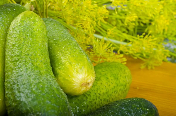 Vat van komkommers — Stockfoto