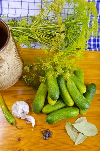 Lehçe sarımsak salatalık (maddeler) — Stok fotoğraf