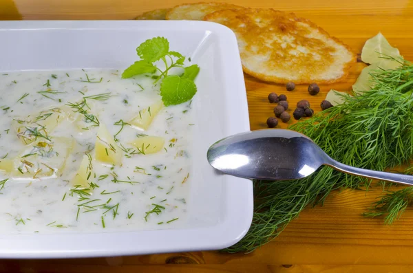 Polish dill soup — Stock Photo, Image