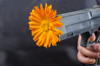 Gun with flower clipart