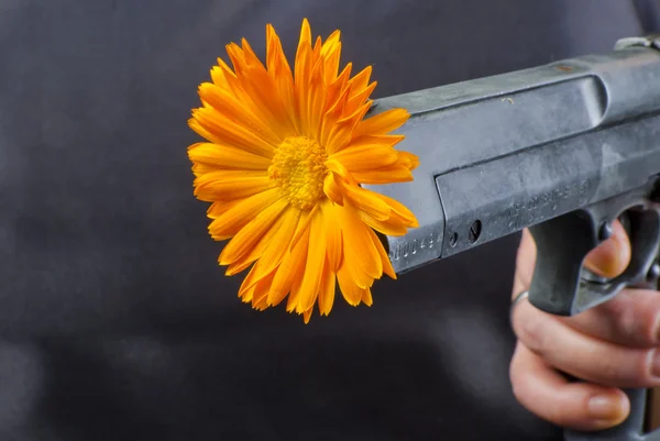 stock image Gun with flower