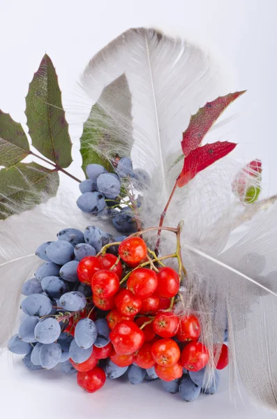 Frambuesas y otras frutas —  Fotos de Stock