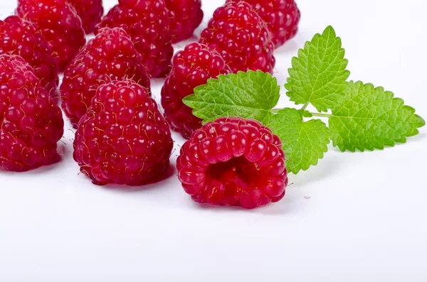 树莓 (树莓) — 图库照片