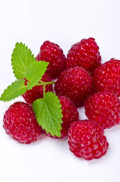 stock image Raspberry (Rubus idaeus)