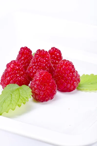 树莓 (树莓) — 图库照片