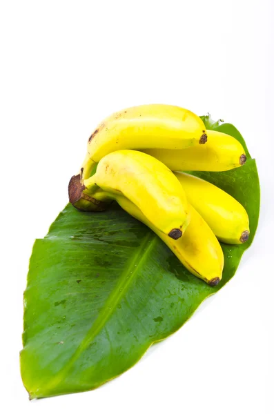 stock image Banana sheet with bananas