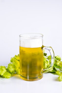 bira cam ürünleri
