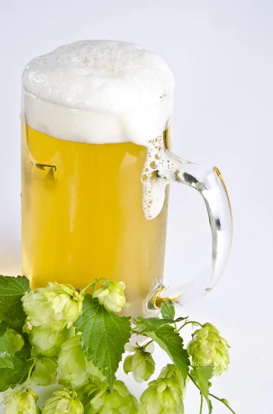 Oggetti di vetro per birra — Foto Stock