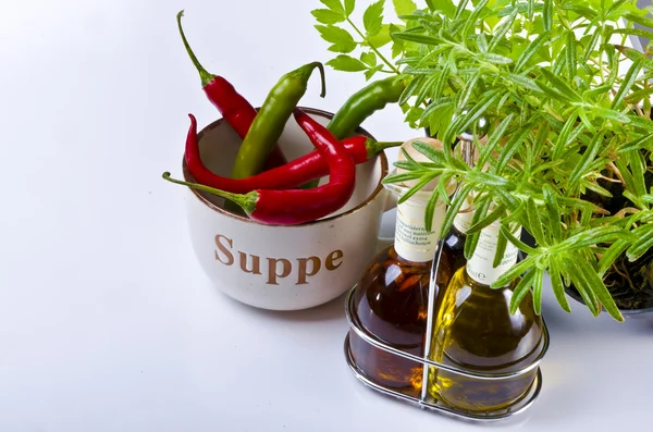 Paprika növény — Stock Fotó