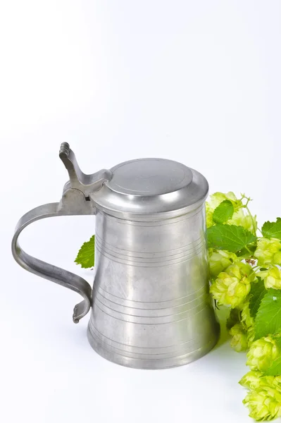 stock image Beer mug