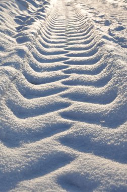 Tracks in the snow. clipart