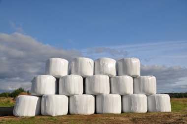 Bales of hay. clipart