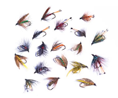 Assorted fishing flies clipart