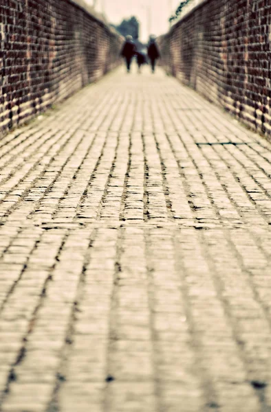 Cobblestoned alley — Stock Photo, Image