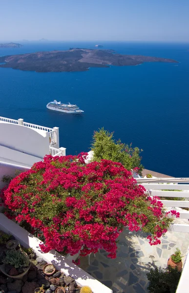 Beautiful bougainvillea on a terrace overlooking Santorini caldera — Stock Photo, Image