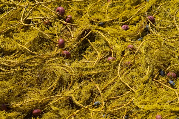 stock image Fishing nets