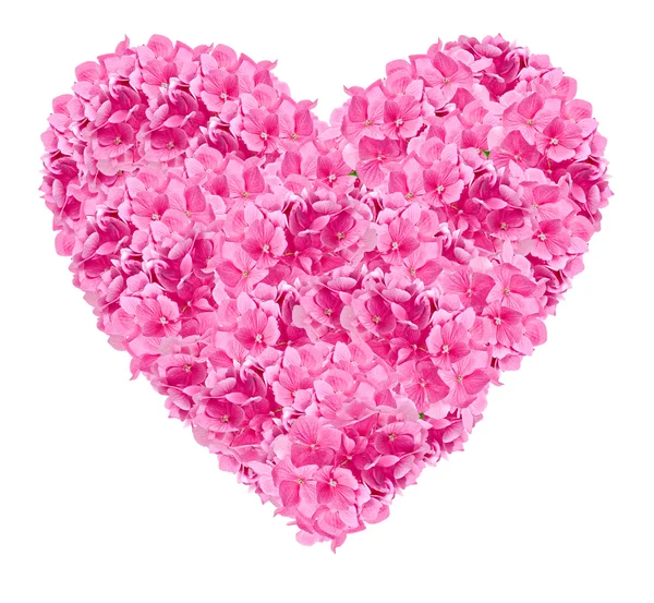 Romantisches rosa Herz — Stockfoto