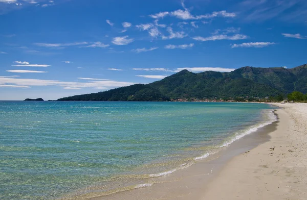 stock image Golden beach