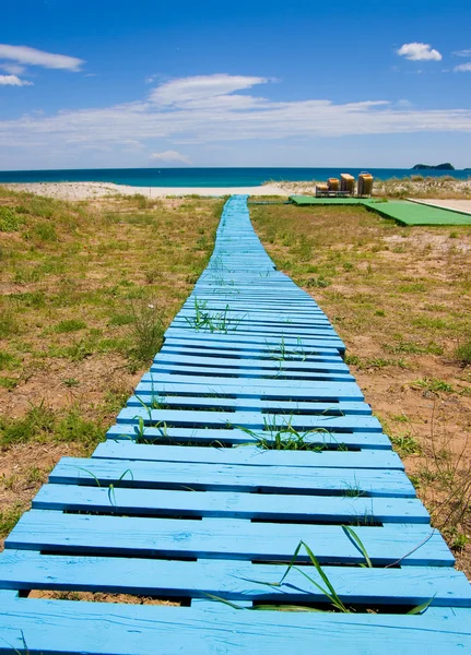 Improvised boardwalk — Stock Photo, Image