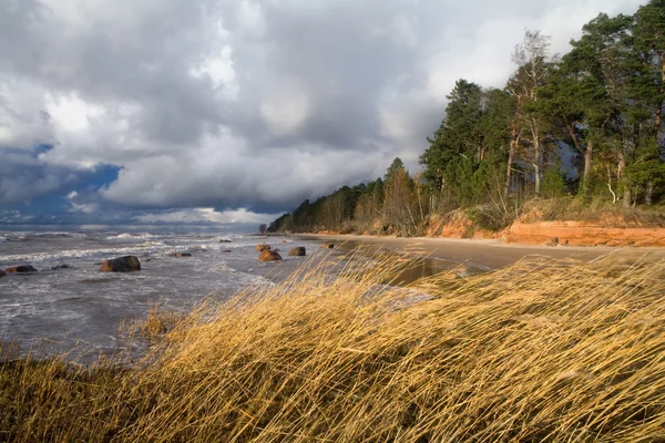 De kust van de Baltische zee voordat de regen — Stockfoto