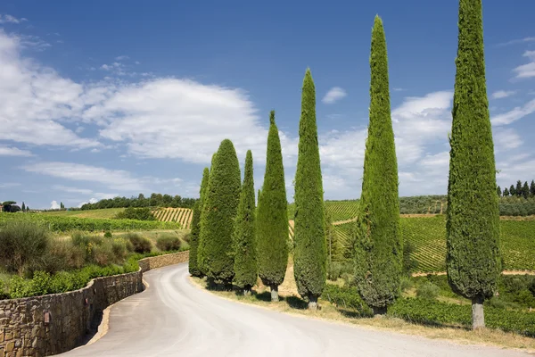 Типичный пейзаж Тосканы — стоковое фото
