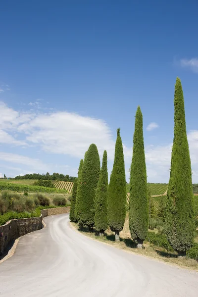 En typiska landskapet i Toscana — Stockfoto