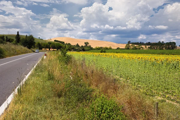 Un paysage typique de la Toscane — Photo