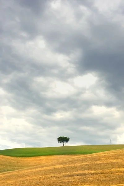 Типовий ландшафт Тоскана — стокове фото
