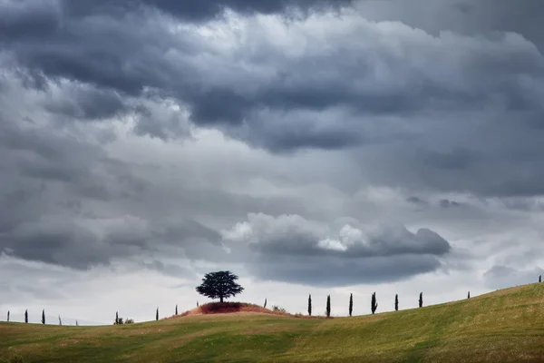 Typical landscape of Tuscany — Stock Photo, Image