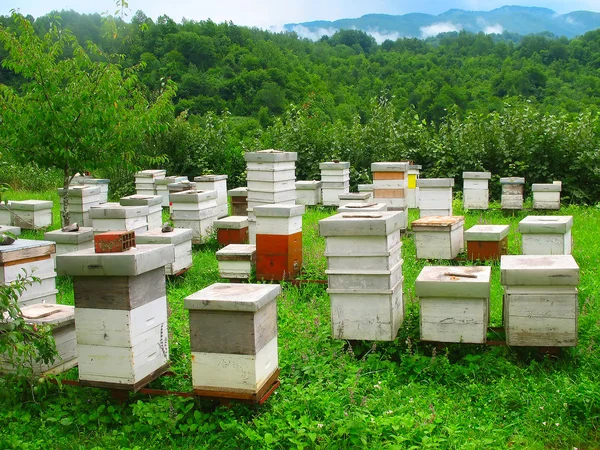 stock image Wooden hives on the picturesque glade in the mountains