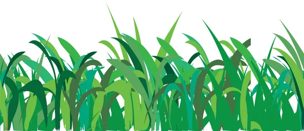 Nahtloses Muster aus Gras — Stockvektor