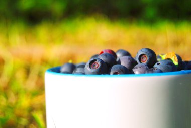 Berries in the cup clipart