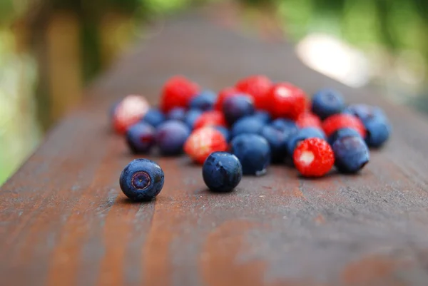 Colourful forest berries — Stock Photo, Image