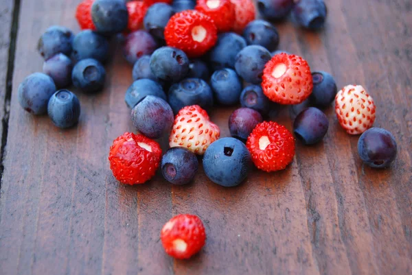 Colourful berries — Stock Photo, Image