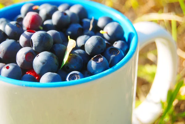 Tasty fresh berries — Stock Photo, Image