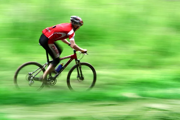 在丹麦的森林里的自行车比赛 免版税图库照片