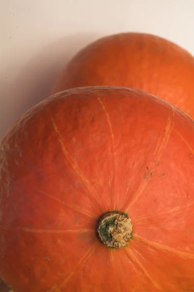 Pumpkin01 — Foto de Stock