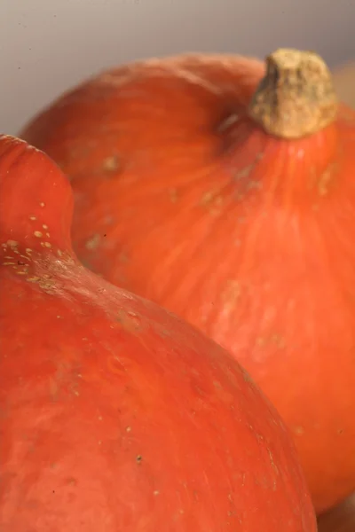 Pumpkin01 — Stockfoto