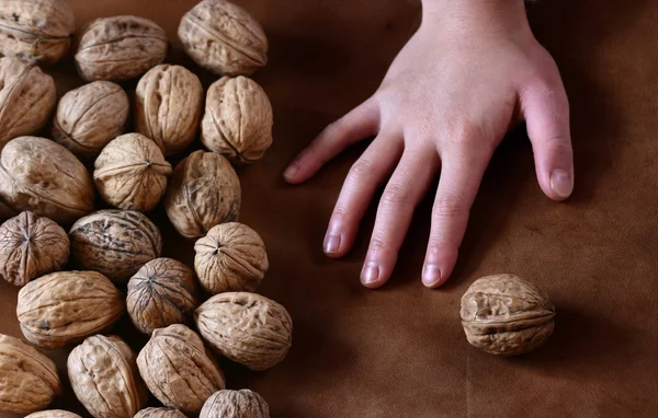 Орехи и рука — стоковое фото