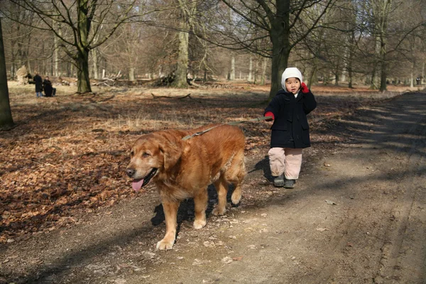 子供と犬 — ストック写真