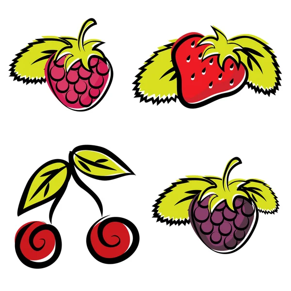 Strawberry, raspberry, cherry and blackberry — Stock Vector