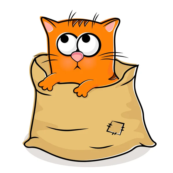 Lindo gatito en bolsa de lino — Vector de stock